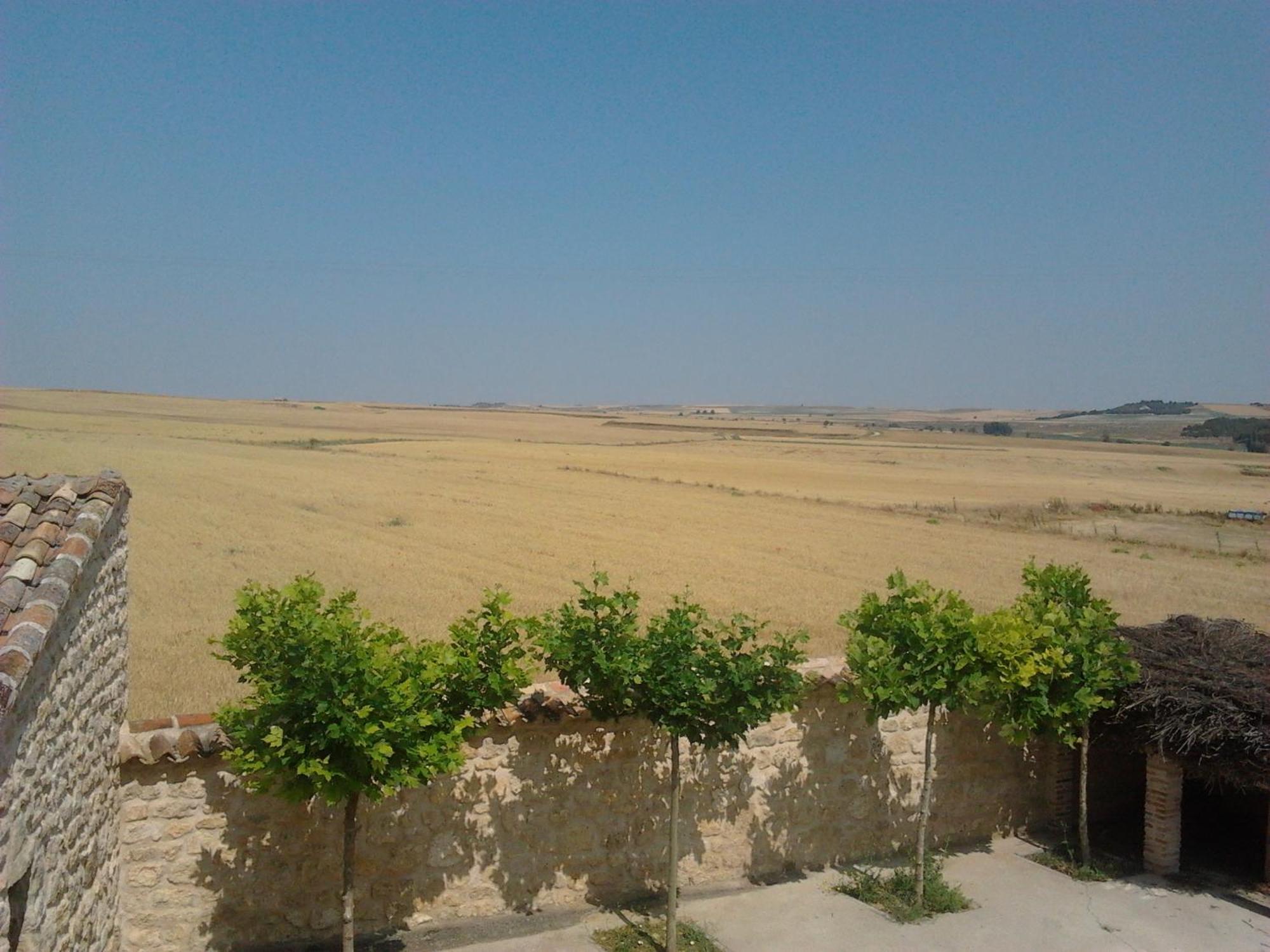 הוילה Cubillas de Santa Marta Pago De Trascasas מראה חיצוני תמונה